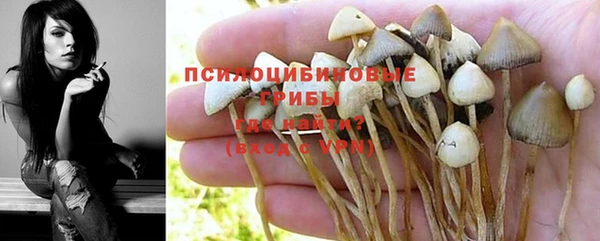дживик Арсеньев