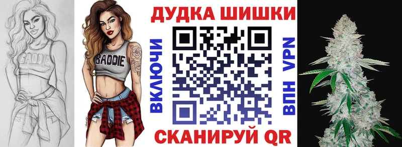 Канабис сатива  наркотики  Черноголовка 